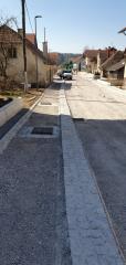 228_REK_Šentrupert_20200319_113556 (Small)